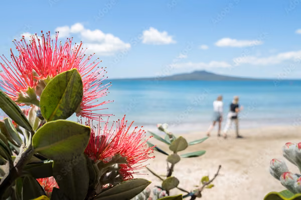 Summer, beach - purchase in July