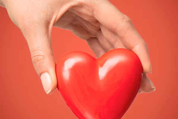 Hand holding a red heart