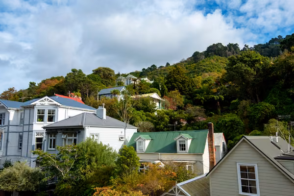 NZ Housing