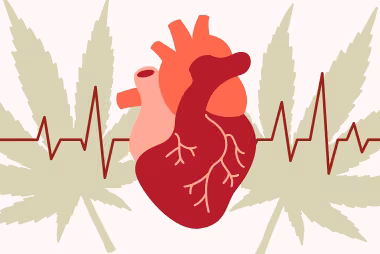 Heart and cannabis