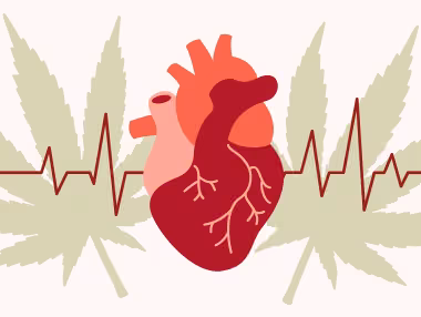 Heart and cannabis